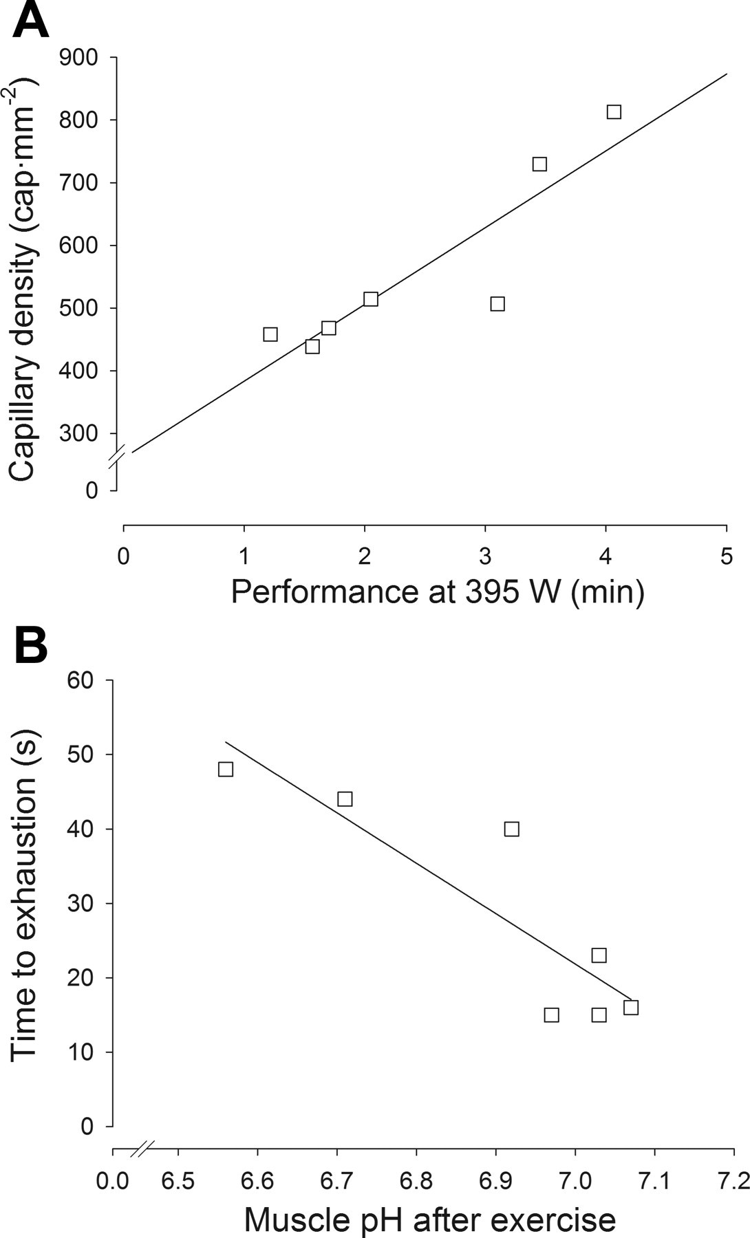 Exercise Increases Blood Vessel Growth, Density, and Benefits Aging